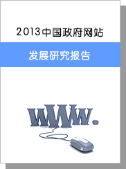 2013年中国政府网站生长研究陈诉