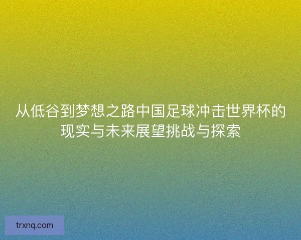 从低谷到梦想之路中国足球冲击世界杯的现实与未来展望挑战与探索
