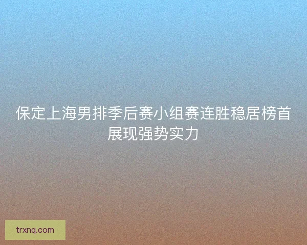 保定上海男排季后赛小组赛连胜稳居榜首展现强势实力