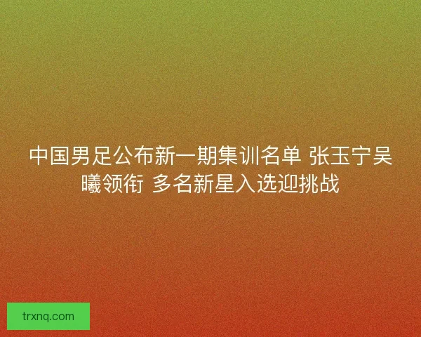 中国男足公布新一期集训名单 张玉宁吴曦领衔 多名新星入选迎挑战